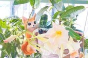 十二星座的杏色是什么