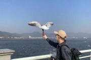 生孩子有什么讲究吗？师带你了解孕期的讲究