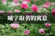 王梓曦名字的吉凶解析，寓意与意义