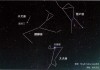 十二星座与小型犬，最佳搭配指南