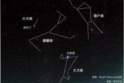 十二星座与最佳宠物犬推荐