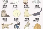 十二星座，我该养什么宠物？