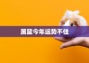 鼠虎双生肖运势解析，机遇与同在