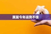 鼠虎双生肖运势解析，机遇与同在