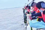 氮葬行业的困境，悲伤与平衡的