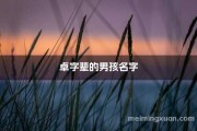火兔宝宝取名指南，好听又寓意深远的名字推荐