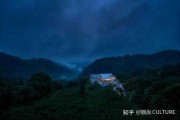 门前种松树，全靠它