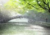 雨里捡到猴子，预兆与解梦解析