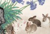 4月兔宝宝取名，传统与现代的结合