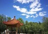 2019年1月1日，一个充满希望的新起点