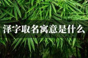 泽字取名，为牛宝宝起一个温暖而的名字