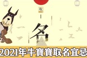旺字取名虎宝宝，寓意与选择
