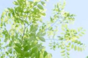 佛性如水，缘来缘去，解读算命中的佛无缘