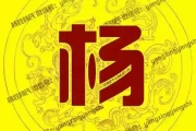 杨加许女宝宝取名，传统文化与现代审美的结合