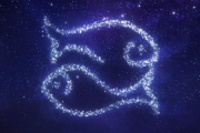 十二星座之十二双鱼座，21天的温柔与浪漫