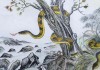 6月29日生肖蛇运势，智慧与机遇的剑