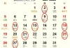 五华店开业大吉时间，2024农历新年，开启新篇章！