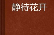 静待良辰，花开有期