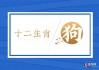 🐕狗年运势大揭秘12月生肖属狗的运势详解