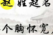赵性男宝宝取名，让名字承载传统与现代的智慧
