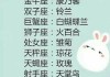 十二星座与花语，浪漫的星座之花解析
