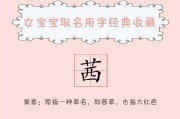 靤字女宝宝名字怎么取名，传统与现代结合的艺术