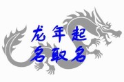 1月龙宝宝取名属性怎么取，龙腾虎跃的寓意与选择