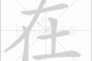 在墓地中种植柏树，与文化齐下的选择