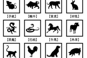 生肖运势，天降大，your year of good fortune and success!