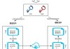 解密，生命八字测算的与科学