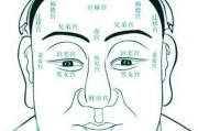面相算命的特点是什么