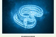 7月9日生肖运势解析，蛇年运势全解读