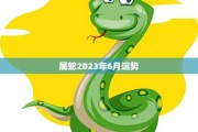蛇生肖运势解析，事业与健康的关键时刻