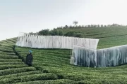 浮梁艺术节，求签活动方案