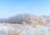 十二星座中的雪，寒冷中的温暖与光芒