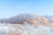 十二星座中的雪，寒冷中的温暖与光芒