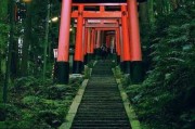 神社求签，传统文化中的神秘力量