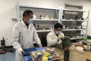修复坟地，选择合适的植物和布局