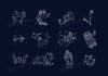 十二星座适合什么相机？