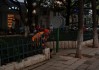街边算命，城市角落里的神秘力量