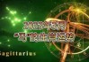 2023年生肖星座运势大揭秘，为你推荐最适合男性的运势指南