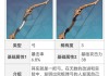 十二星座的弓，解开神秘力量的钥匙