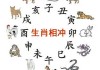 今日3月18日生肖运势，事业与健康 focus on your future