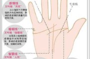 揭秘看手相算命，这些经典古籍带你入门手相学奥秘