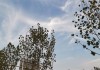 十二星座的失眠之谜，为什么天蝎座、水瓶座等星座容易失眠？