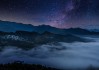 夜里遇见猫咪，预兆与解梦全解析