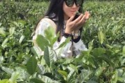 毛性女宝宝取名，传统与现代的结合