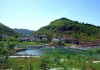 务川鲜花开业大吉时间查询指南