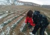 好，用户让我写一篇关于动土早上几点进门吉时的文章。首先，我需要理解动土是什么意思。动土通常是指在学中，确定一个地方适合开始建造或进行某种仪式的时刻。这涉及到时间的选择，尤其是早上几点出门