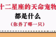 十二星座，每条恶犬都懂你的心